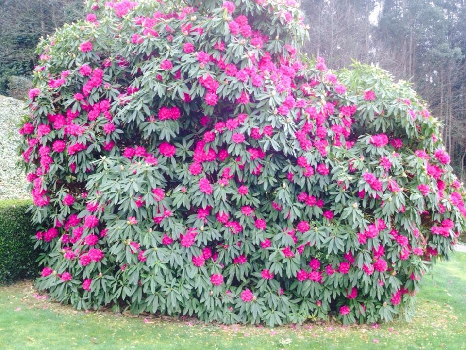 Casa Das Veigas Abegondo Dış mekan fotoğraf